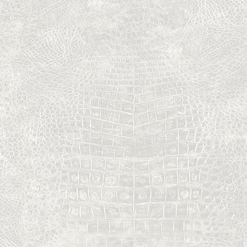 17169180737539