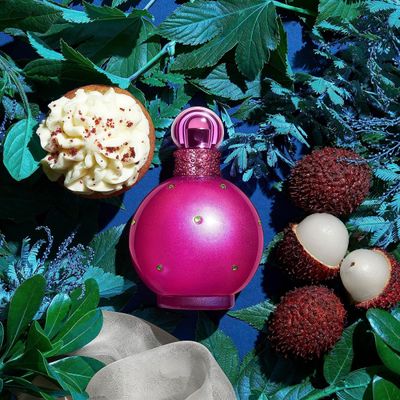 Britney Spears Fantasy Feminino 100ml