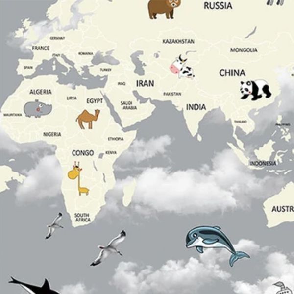 17169869296767 17169869296767