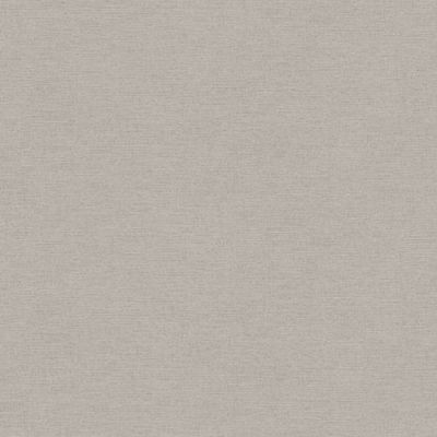 Papel de Parede The Wall 2 Textura Cinza 306894