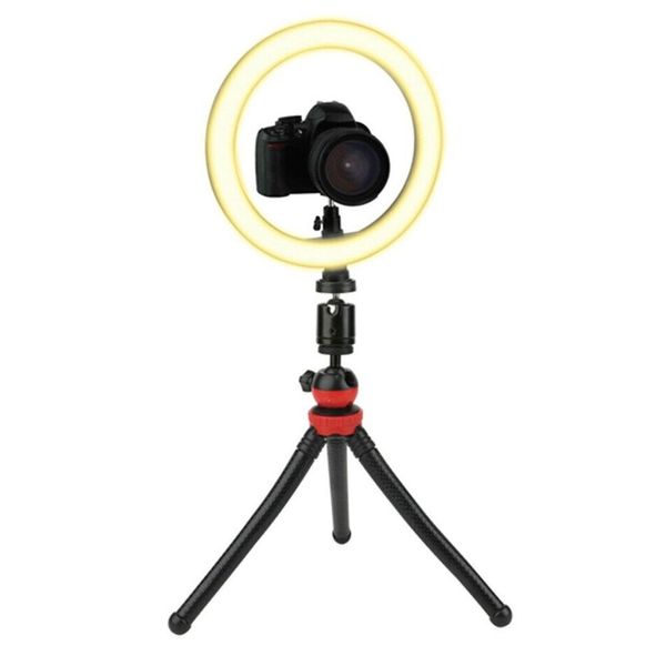 Luminaria portatil Vivitar USB Ring Light 10