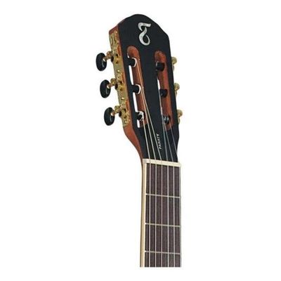 Violão Tagima Paraty Clássico Nylon Natural Satin