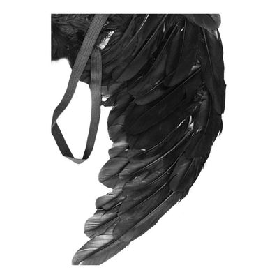 Asa De Anjo Preta Infantil - 50cm