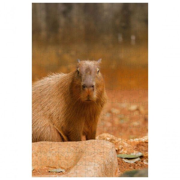 Quebra-Cabeça Capivara de 300 Peças para Diversão e Lazer Familiar