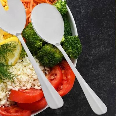 Colher em Aço Inox para Servir Positano 26cm Lyor Colher de Arroz Sobremesas Assados Prateada