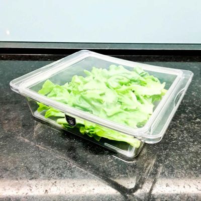 Travessa Quadrada Hermética 1,9L Crippa com Tampa Porta Frios Saladas Frutas Transparente