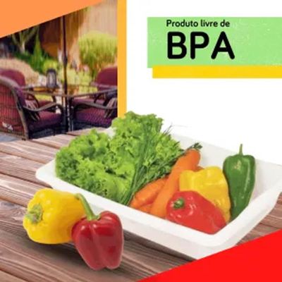 Bandeja Plasvale 17L Grande Retangular Plástica de Açougue para Alimentos Multiuso