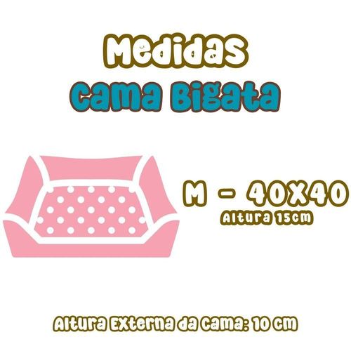 17443782886972