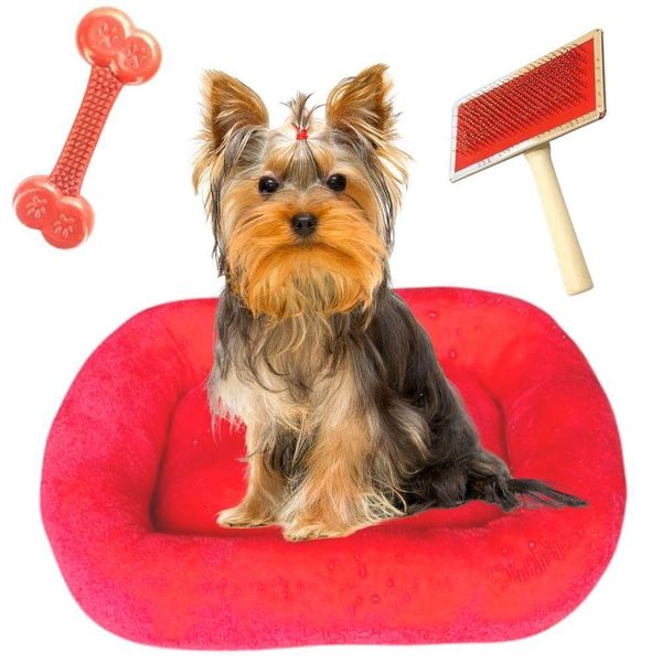 17443783922434 17443783922434