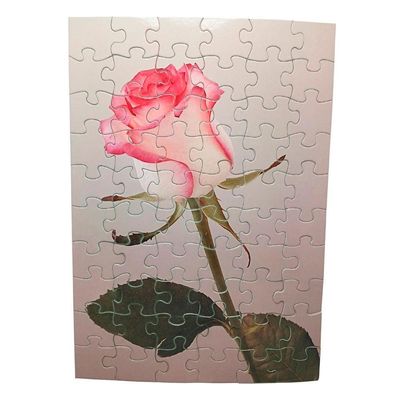 Combo 4 Quebra-cabeças Flores Divertido Para Idosos