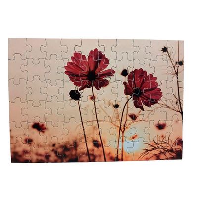 Combo 4 Quebra-cabeças Flores Divertido Para Idosos