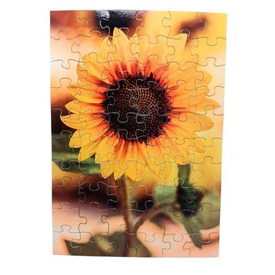 Combo 4 Quebra-cabeças Flores Divertido Para Idosos