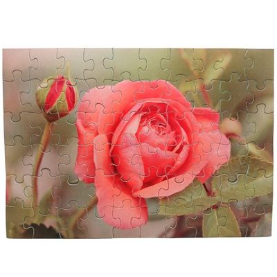 Combo 4 Quebra-cabeças Flores Divertido Para Idosos