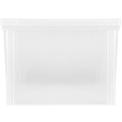 Caixa Organizadora Plástica Transparente 65L Tampa com Trava Radical Color Ordene Multiuso