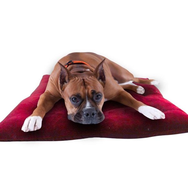 17443774378881 17443774378881