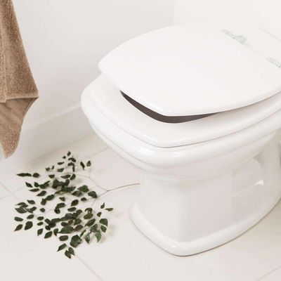 Tampa De Vaso Em Mdf Fit Branco Para Bacia Celite