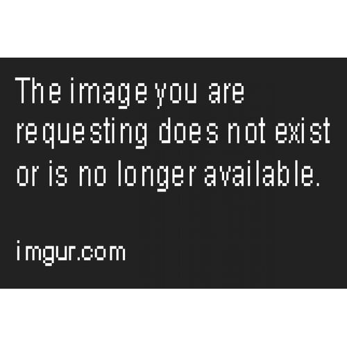 17174499008659
