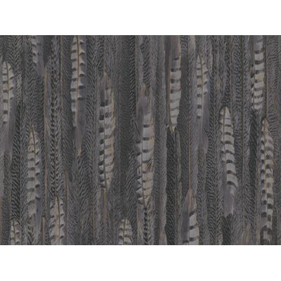 Papel de Parede Inspire Penas Cinza e Marrom 17959