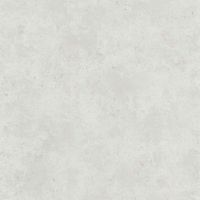 17169183263876