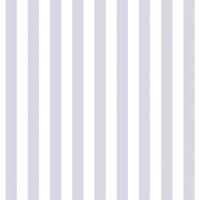 17169182412381