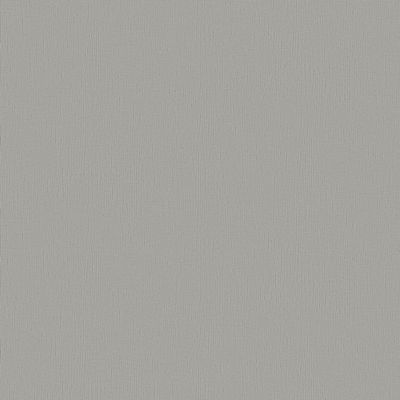 Papel de Parede Criativo II Textura Cinza CR333604R