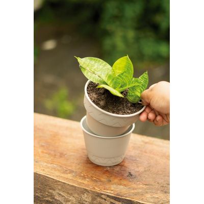 Vaso 2 em 1 10cm Branco Antigo