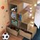 Beliche Infantil com Escada, Nichos e Gavetas Aveiro OAK