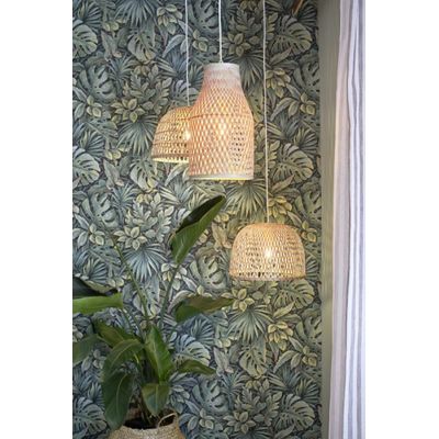 Papel de Parede Folhagem 33304 Botânica 33304