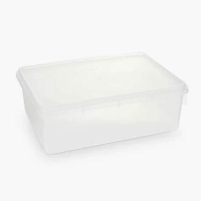Caixa Organizadora Plástica Retangular 3,5L com Tampa Plasvale Brinquedos Closet
