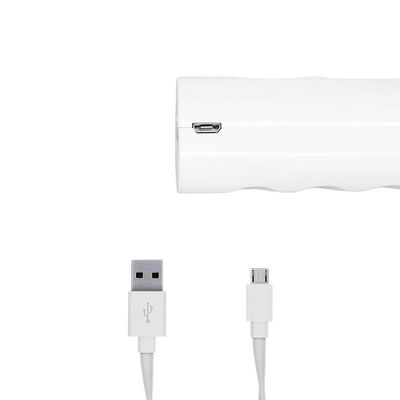 Misturador Mexedor De Bebidas Mini Batedeira Eletrico Leite Cafe Achocolatado Usb 2 Em 1