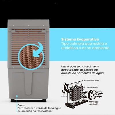 Climatizador 150w 60 Litros Clin60 Pro Cinza 220v - Ventisol