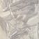 Papel De Parede Poet Chart 4 Textura Bege Pt400402r
