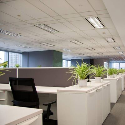 Lâmpada Tubular Fluorescente Led T8 9w Branca Avant