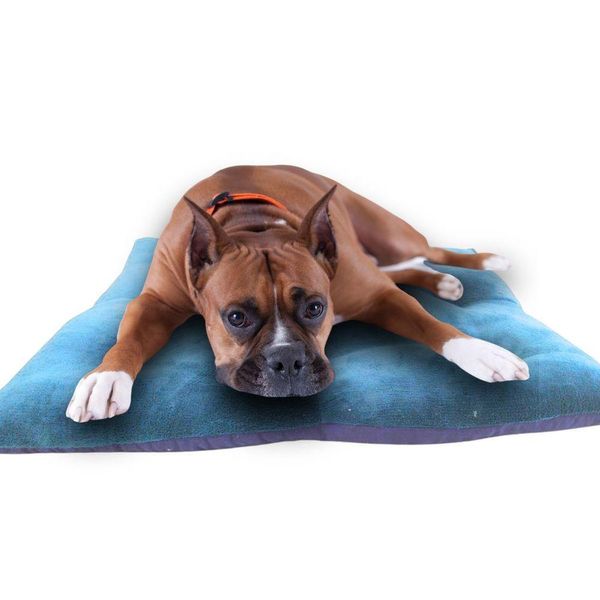 17443774169158 17443774169158