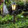 Kit 12 Poste de Jardim Luminária Colonial 1,71m Alumínio Grega Externo Dital Bivolt