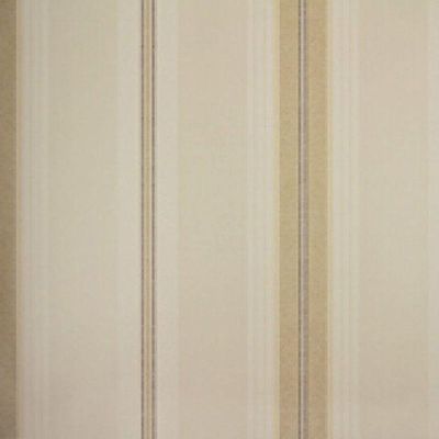 Papel De Parede Listrado Classic Stripes Ct889096 Vinílico - Rolo 10m X 0,53m
