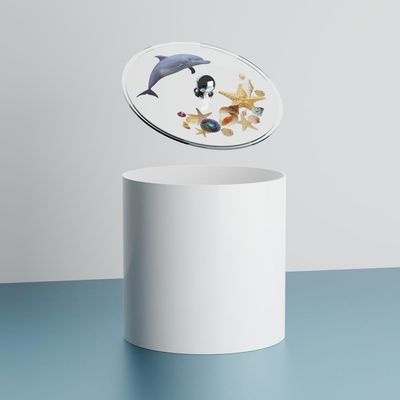 Lixeira Decorada Golfinho E Estrela Do Mar