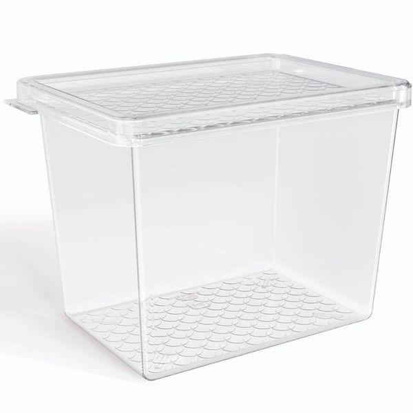 Organizador de Geladeira Multiuso Cozinha 1,3L com Tampa Transparente Frutas Verduras UZ