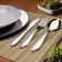 Kit 60 Garfos de Mesa 19cm Inox Lyon Brinox Restaurantes Hotel Refeição