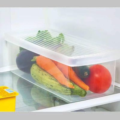 Kit 2 Caixas Organizadoras de Geladeira Legumes Verduras Frutas 4,2L com Tampa Plástica