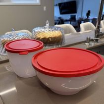 Kit 2 Potes com Tampa 3,1L Redondos PEBD Crippa Bacia Alimentos Frutas Multiuso
