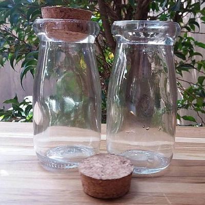 Kit 6 Porta Temperos de Vidro 200ml com Tampa de Rolha Lyor para Decorar e Guardar Especiarias