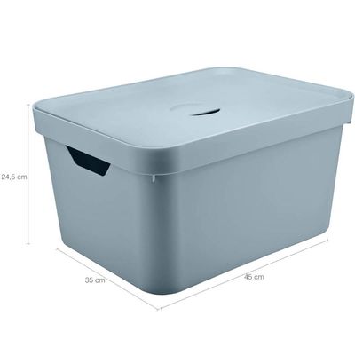 2 Caixas Organizadoras 32L Organizadores Brinquedo Closet OU