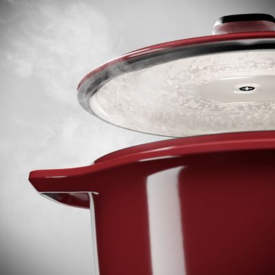 Panela de Ferro Fundido Esmaltado Molheira Electrolux Expert 20cm Vermelha