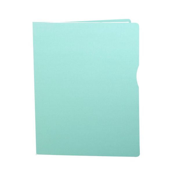 Pasta Catálogo Dello A4 Executive Serena com 30 Envelopes Verde Pastel 31x24cm Pasta Catálogo Dello A4 Executive Serena com 30 Envelopes Verde Pastel 31x24cm