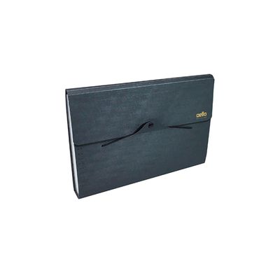 Pasta Sanfonada Dello A4 Executive com 12 Divisórias Preta 33x24cm