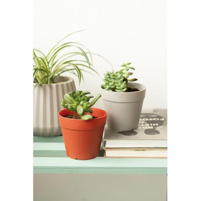 Vaso Cachepot 12cm Argila