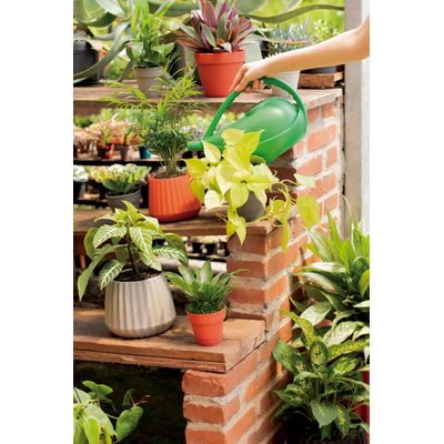 Vaso Cachepot 15cm Argila