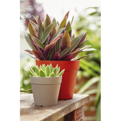 Vaso Cachepot 15cm Argila