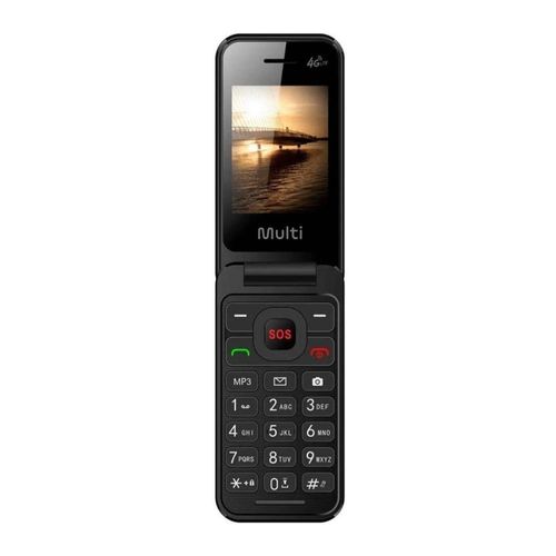 17455007253431
